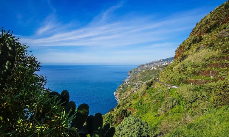 PDM Calheta: Access and Consult